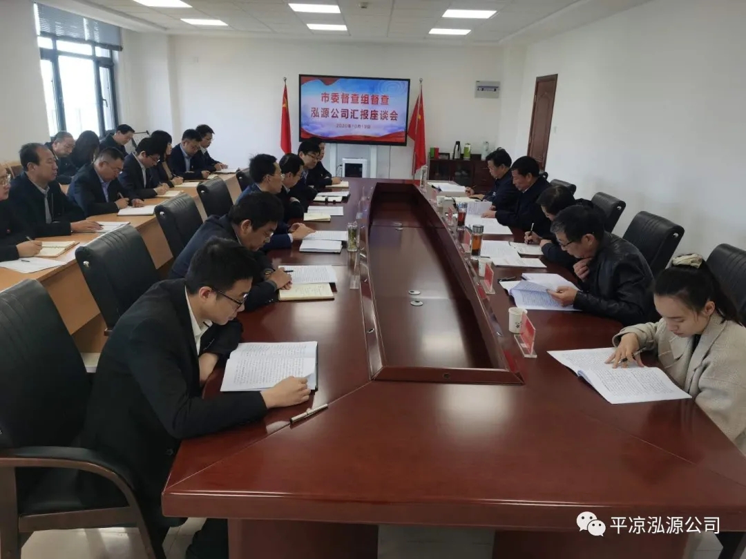 市委辦公室、市政府國(guó)資委督查泓源公司工作(圖4)
